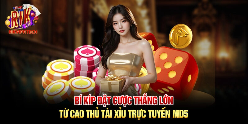 Bí kíp đặt cược thắng lớn từ cao thủ tài xỉu trực tuyến MD5