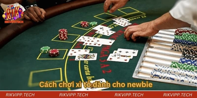 Chi tiết cách chơi xì tố đơn giản dành cho newbie