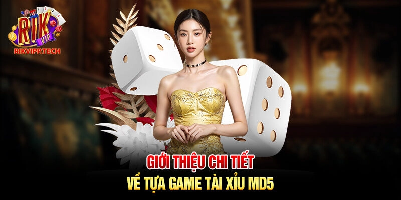 Giới thiệu chi tiết về tựa game tài xỉu MD5